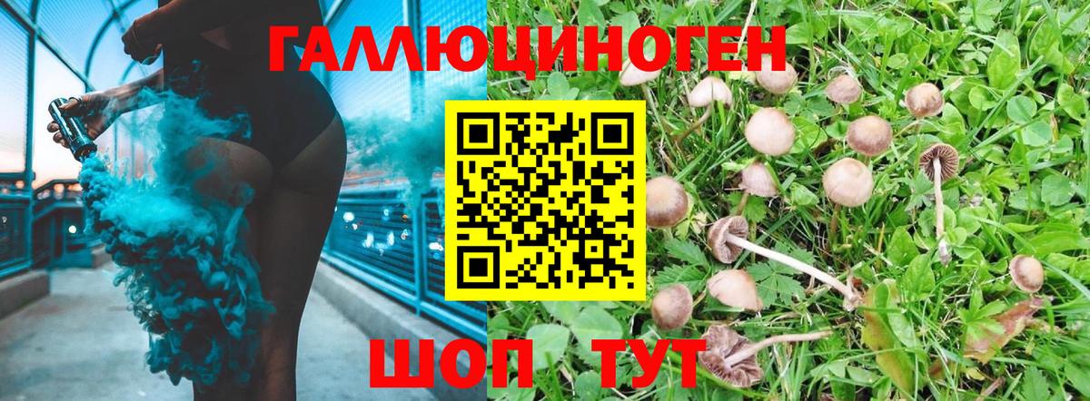 Пугачёв  Галлюциногенные грибы прущие грибы  Вход с VPN  Галлюциногенные грибы GOLDEN TEACHER 